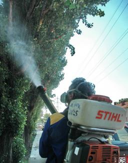 Primăria omoară din nou ţânţarii din oraş 
